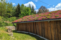 Gründach, Bio-Urlaub, Öko-Urlaub, nachhaltig feiern, Haus Hubertus, Gelnhausen, Spessart