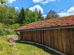 Gründach, Bio-Urlaub, Öko-Urlaub, nachhaltig feiern, Haus Hubertus, Gelnhausen, Spessart