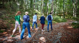 Natur Retreat, Team, Wald, Workshop, Outdoor, Firmenevents,