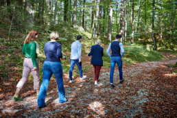Natur Retreat, Team, Wald, Workshop, Outdoor, Firmenevents,